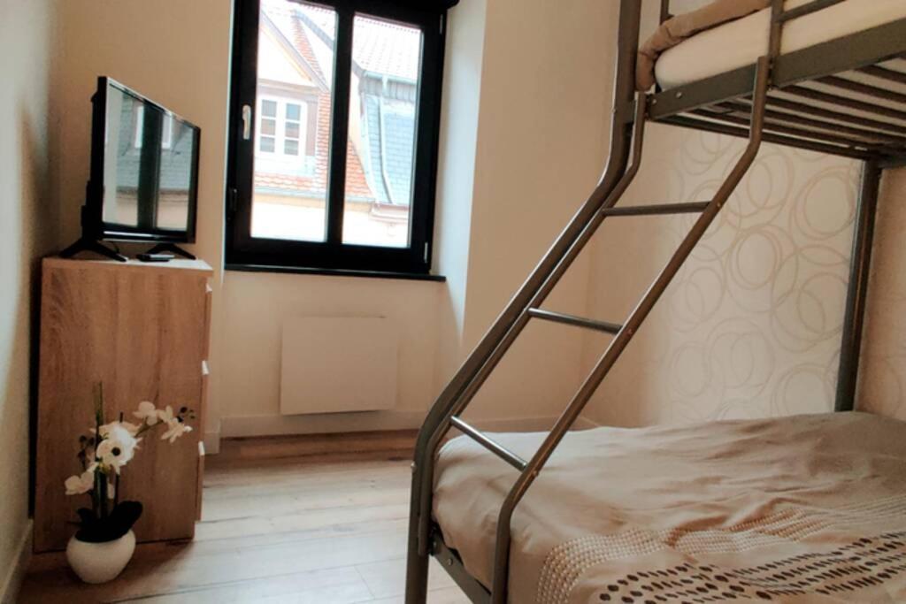 Le Cygne, Appartement De Standing En Hyper-Centre Sarreguemines Eksteriør bilde