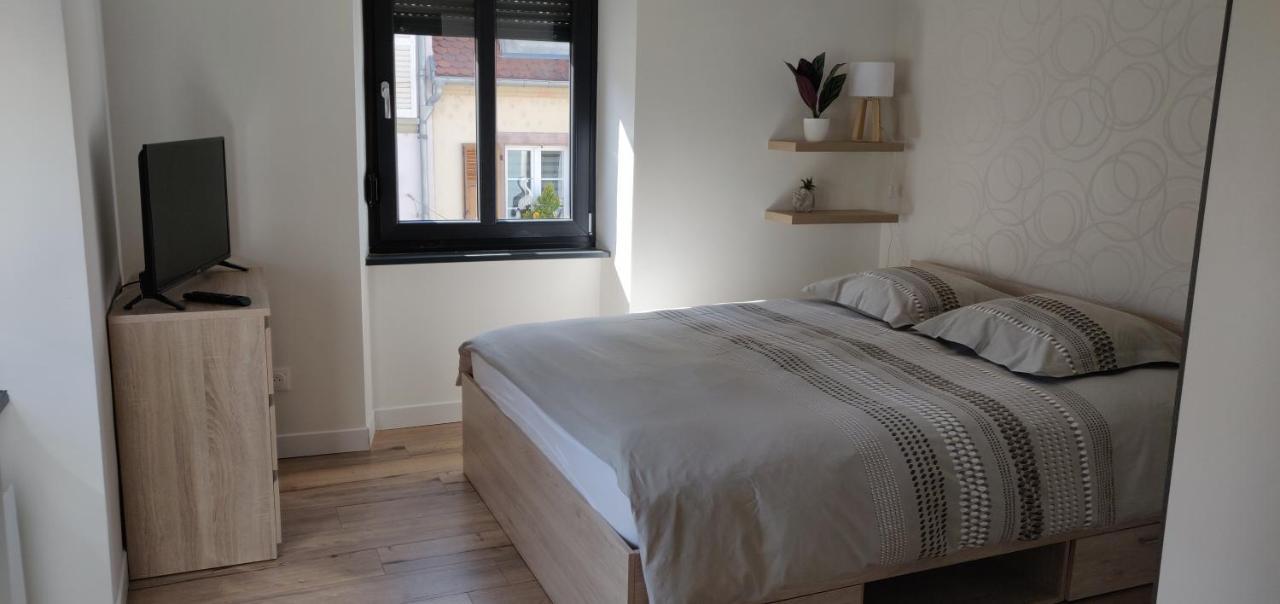 Le Cygne, Appartement De Standing En Hyper-Centre Sarreguemines Eksteriør bilde