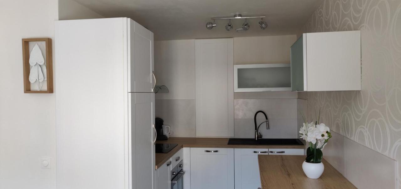 Le Cygne, Appartement De Standing En Hyper-Centre Sarreguemines Eksteriør bilde